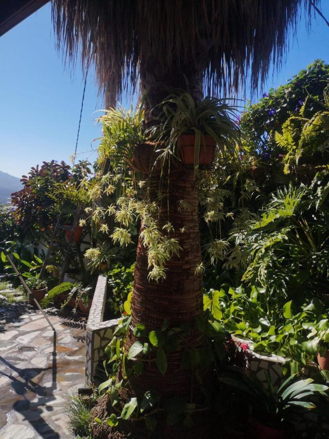 Villa Sila El Paso Luaran gambar